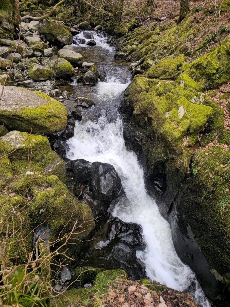Aira Force Waterfall photo 10