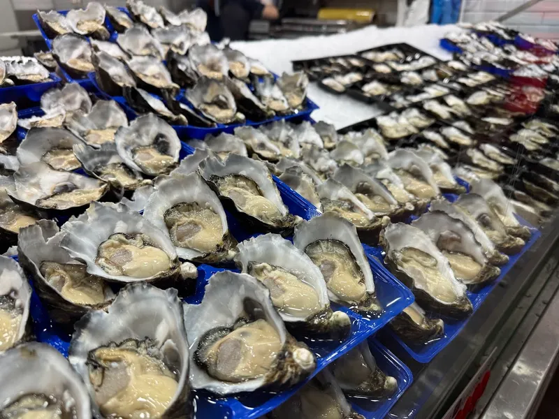 Sydney Fish Market foto 9
