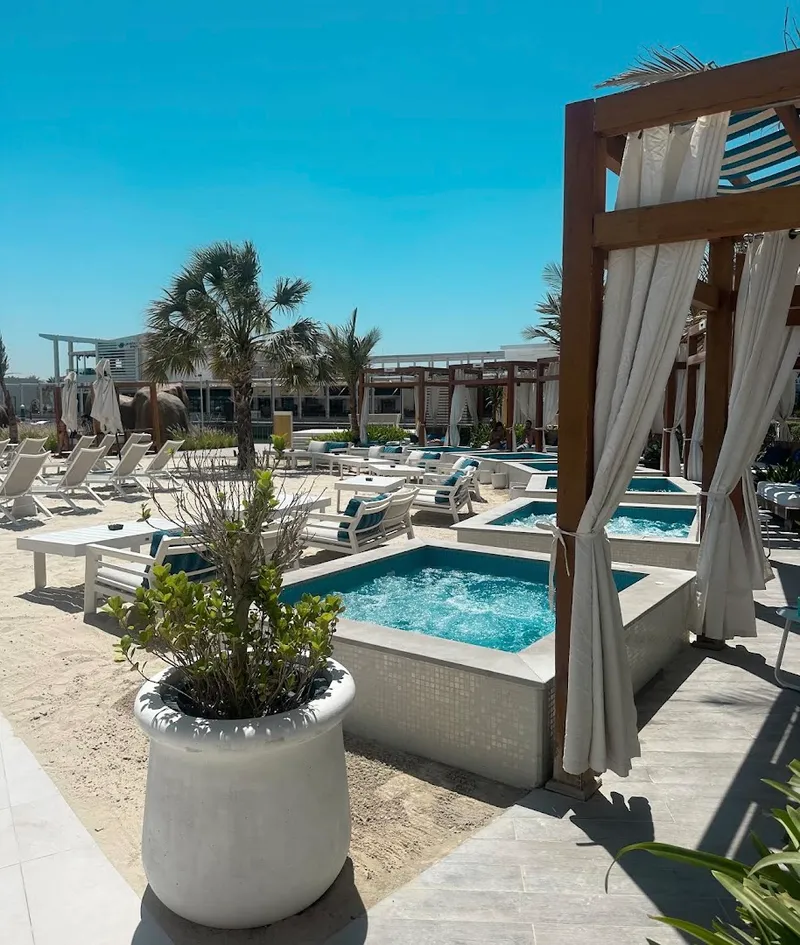 Cafe Delmar Beach Club photo 5