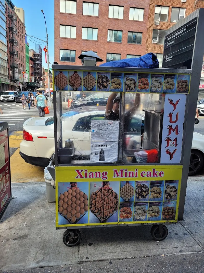 Shan Mini Cake photo 6