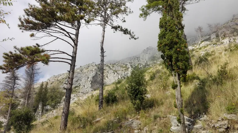 Monti Lattari photo 5