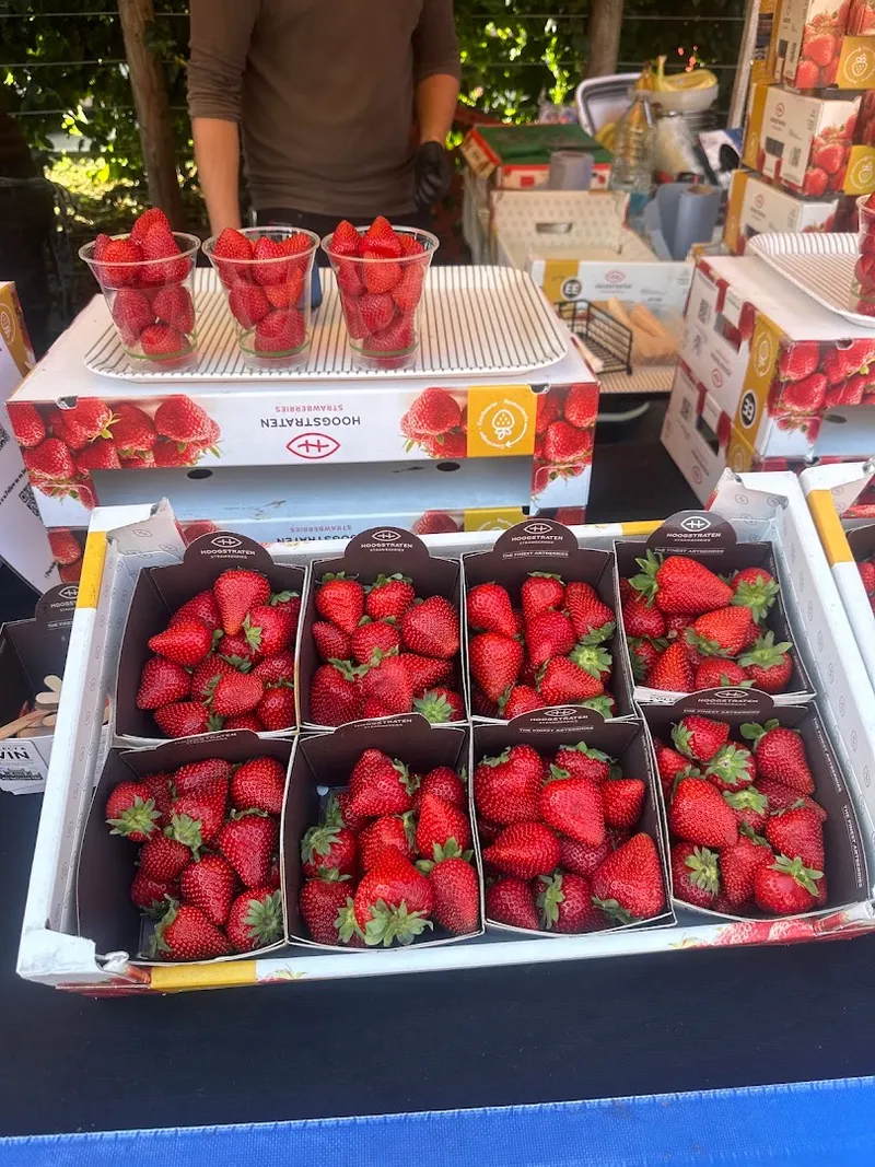 Chocolate Covered Strawberries Stall photo 7