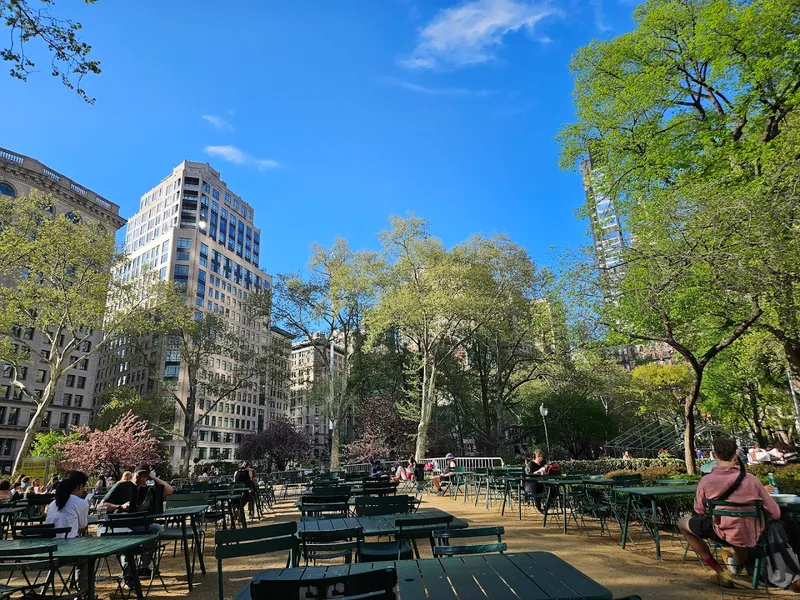 Shake Shack photo 9