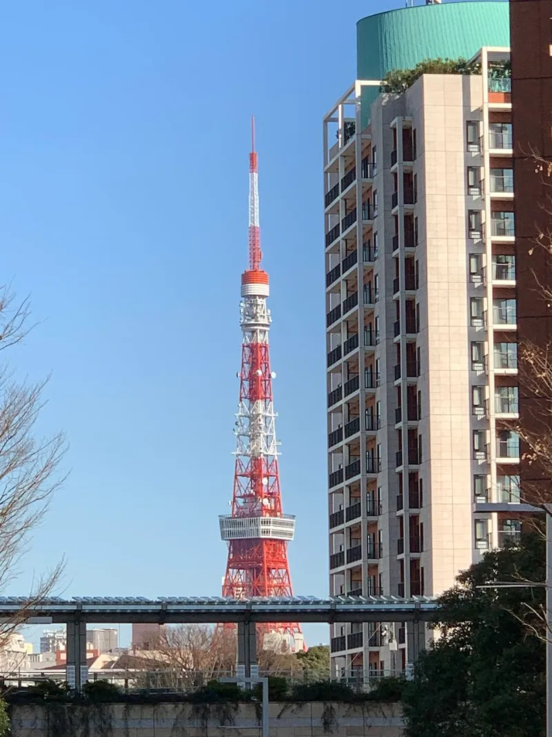 Minatoia photo 8
