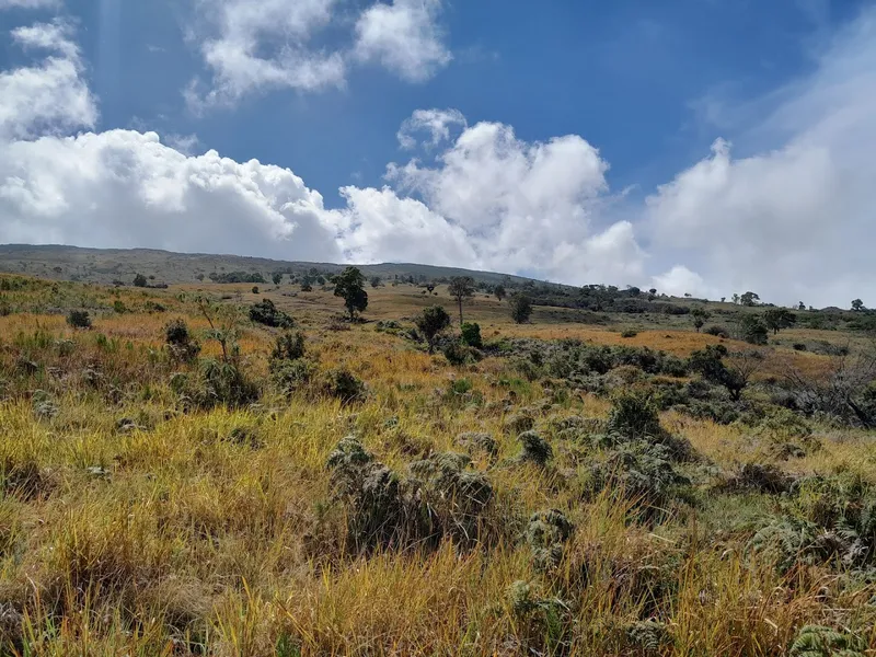 Mont Karthala foto 5