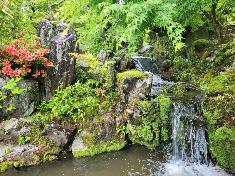 East Suin Garden photo 9