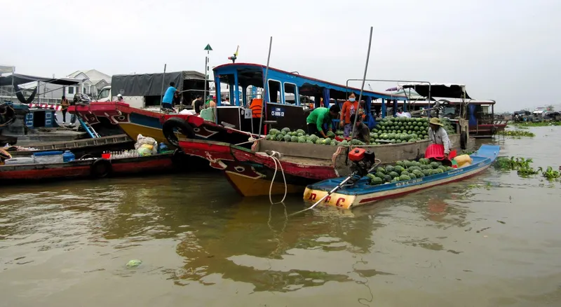 Cai Rang Floating Market photo 7