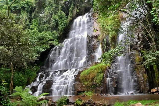 Munyika
