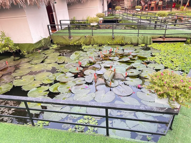 Quán Ăn Đường Phố Cần Thơ photo 5