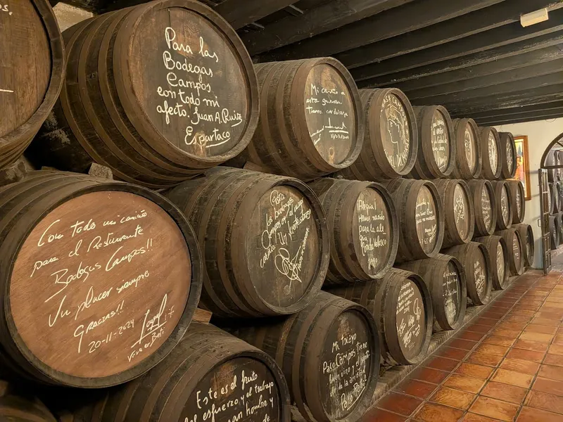Bodegas Campos photo 5