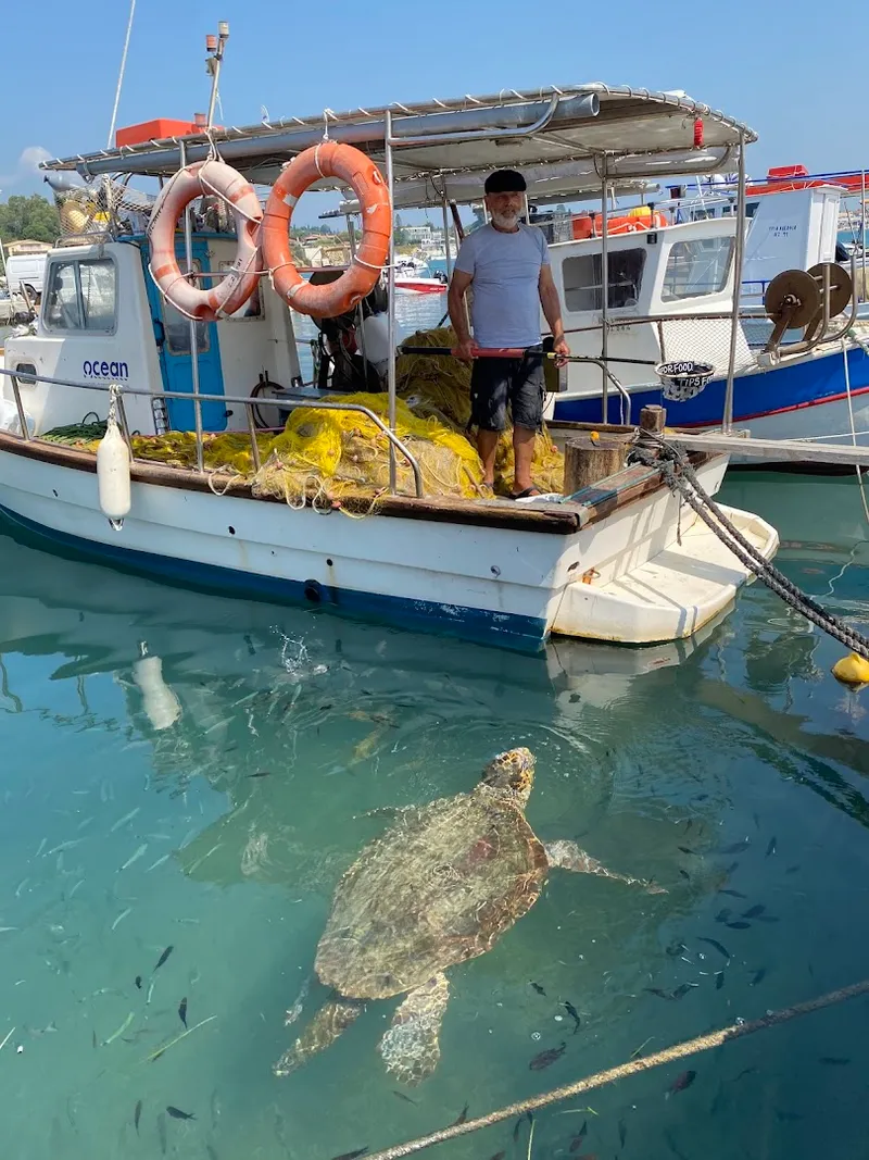 Turtle Island photo 9