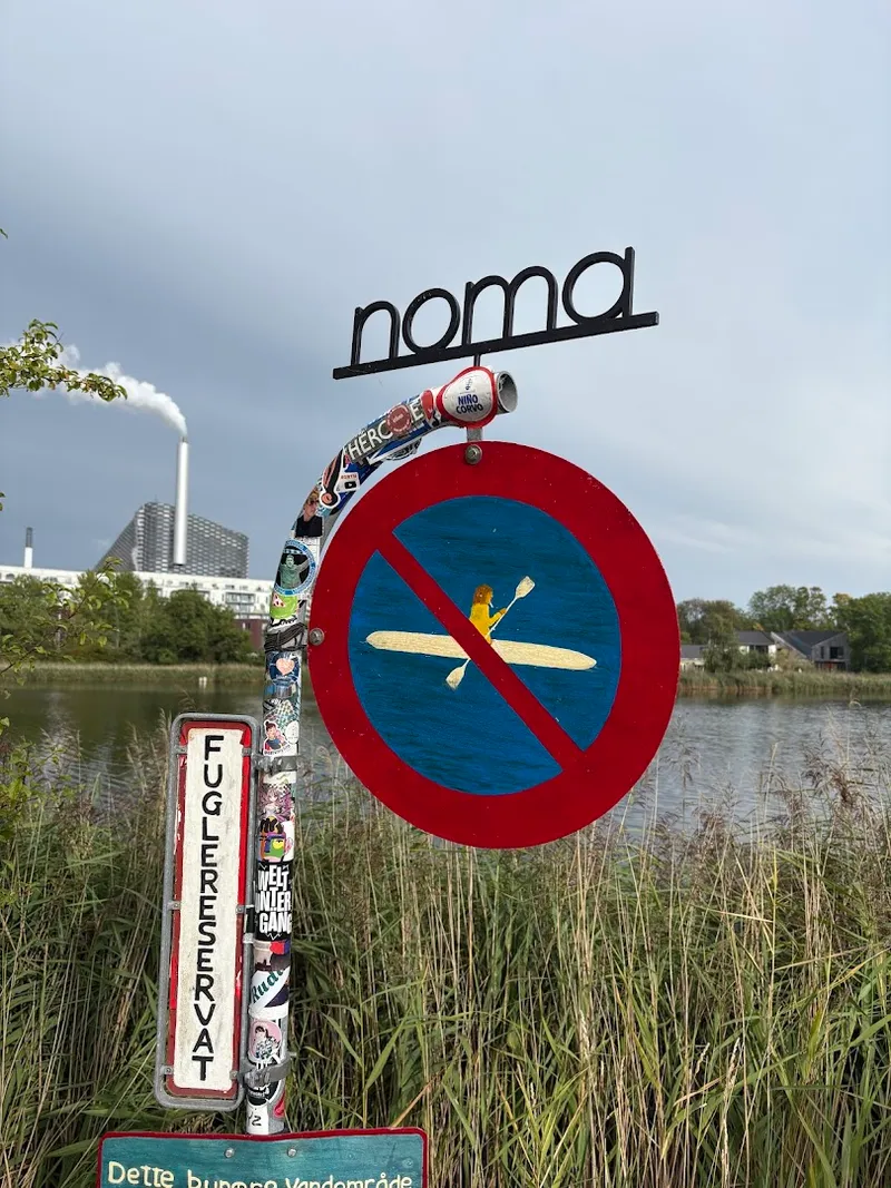 Noma photo 7