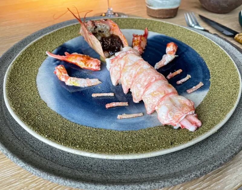 Noma photo 10