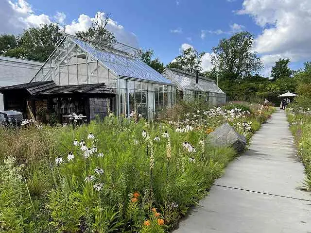 Noma photo 5