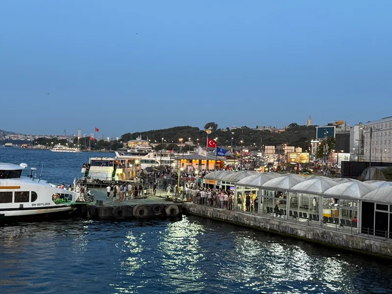 Balık Ekmek (Galata Bridge) foto 7