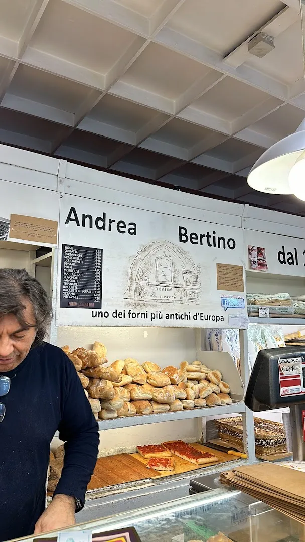 Bertino photo 6