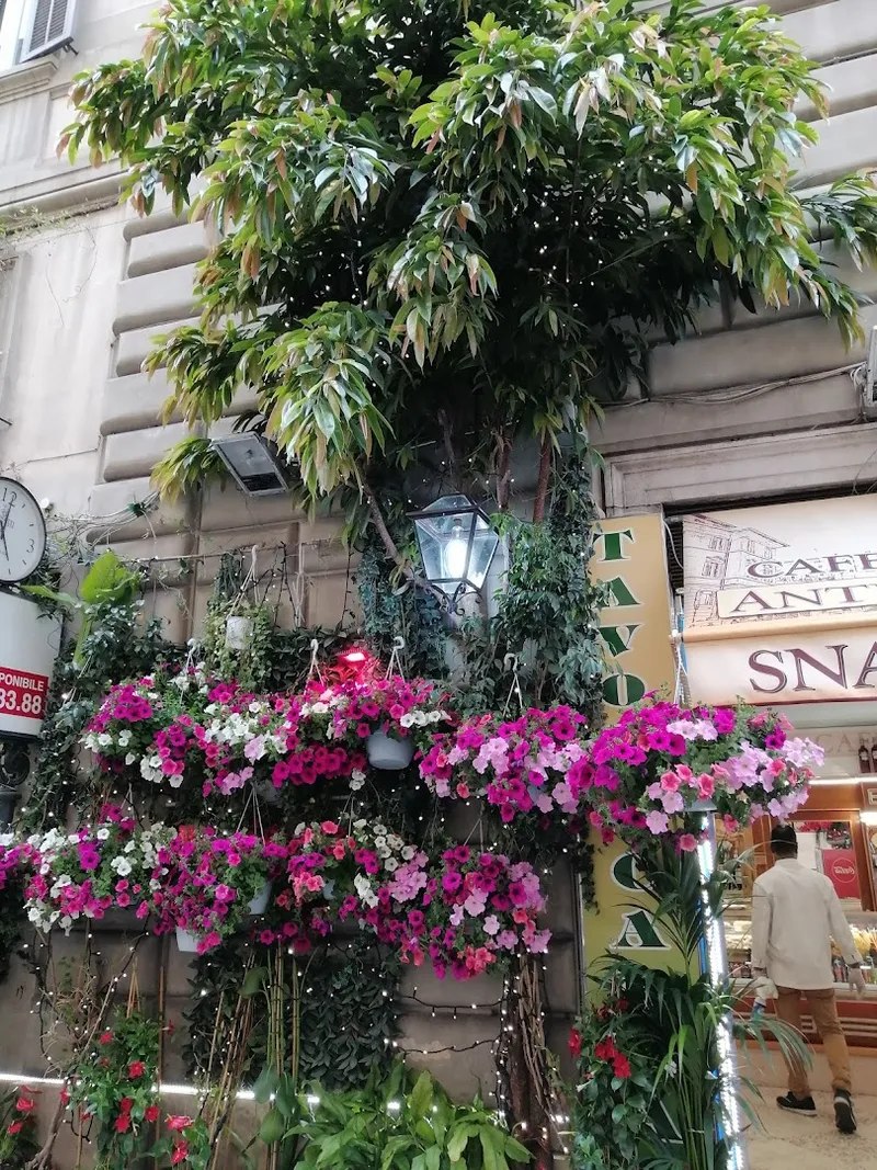 Antico Caffè di Spagna photo 9