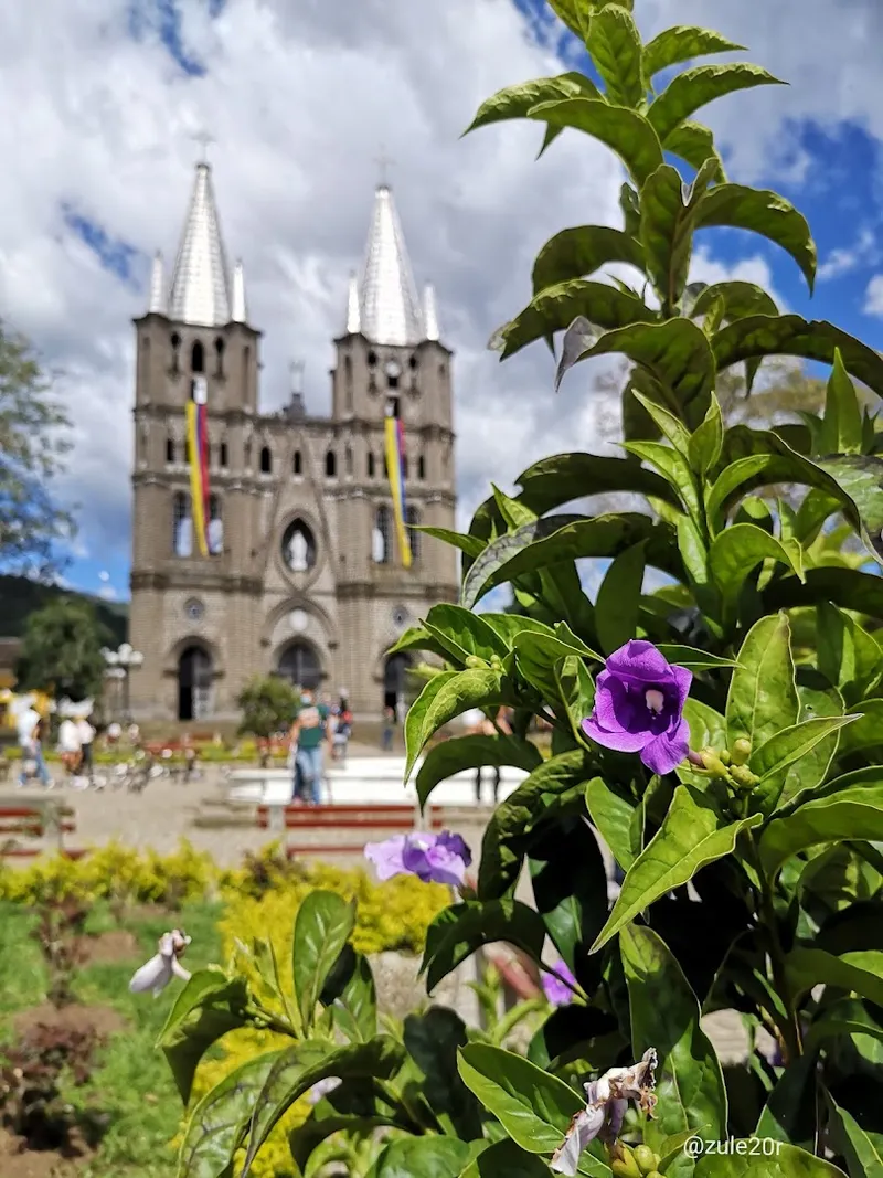 Jardín photo 8
