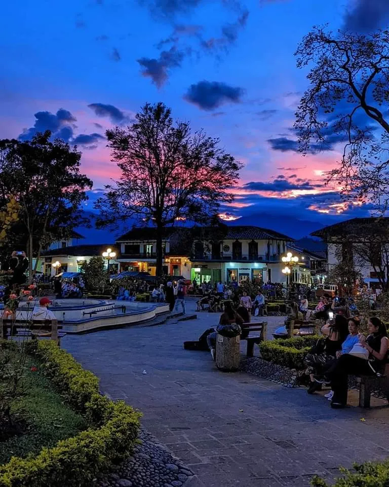 Jardín photo 6