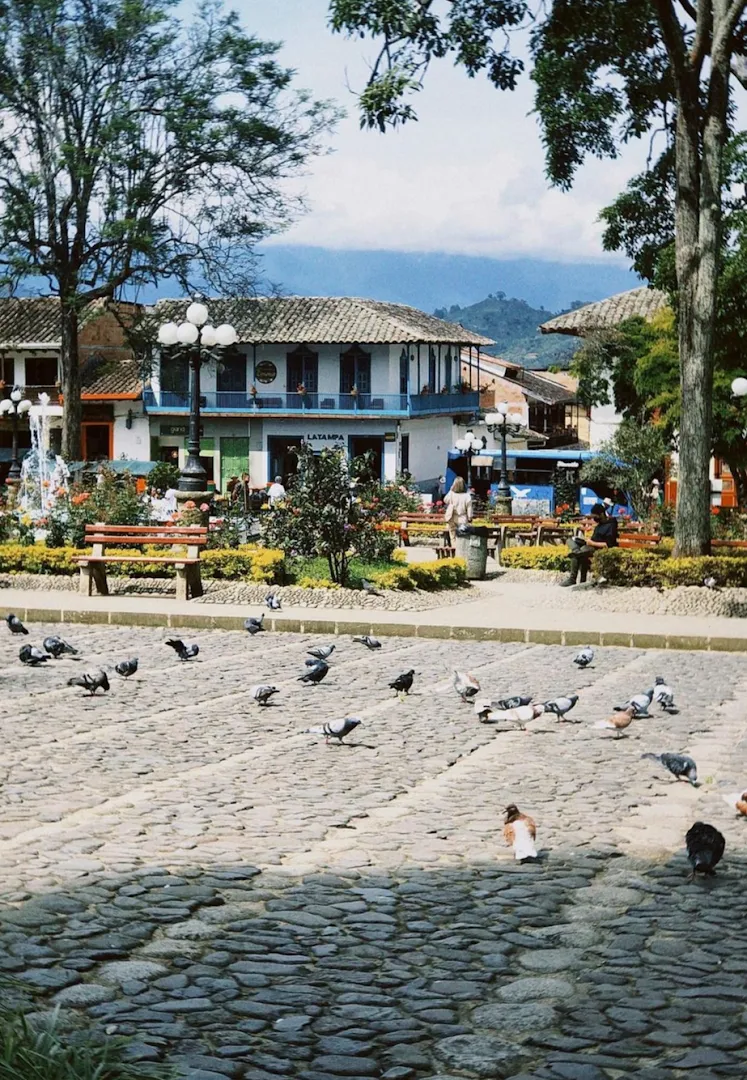 Jardín photo 10