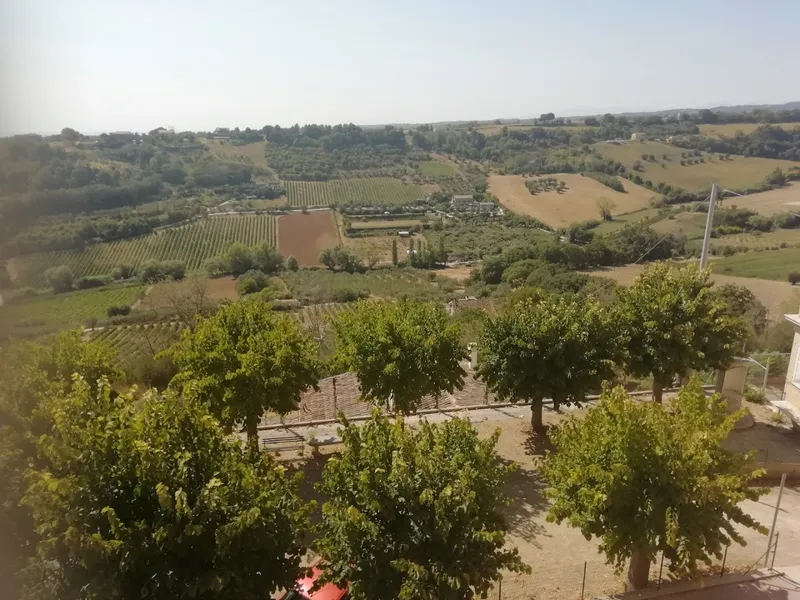 Campofilone photo 9