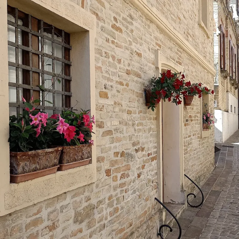 Campofilone photo 8
