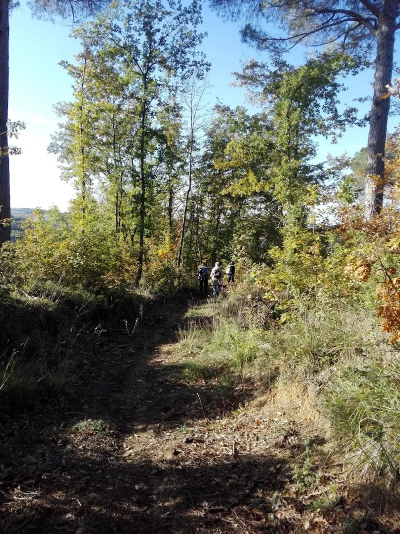 Chiesanuova photo 7