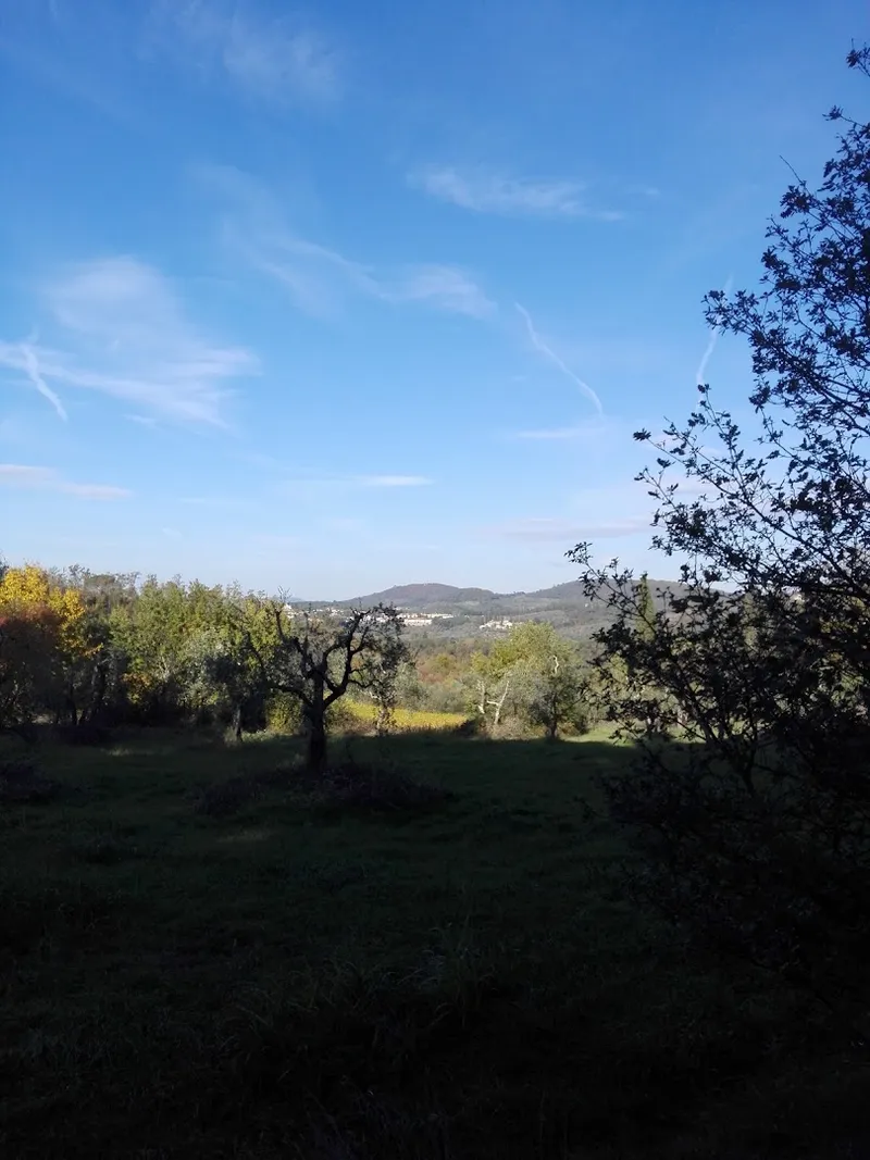 Chiesanuova photo 8
