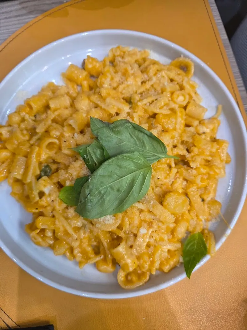 Catafratta photo 9