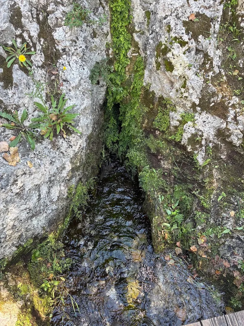 Fonti del Clitunno photo 6