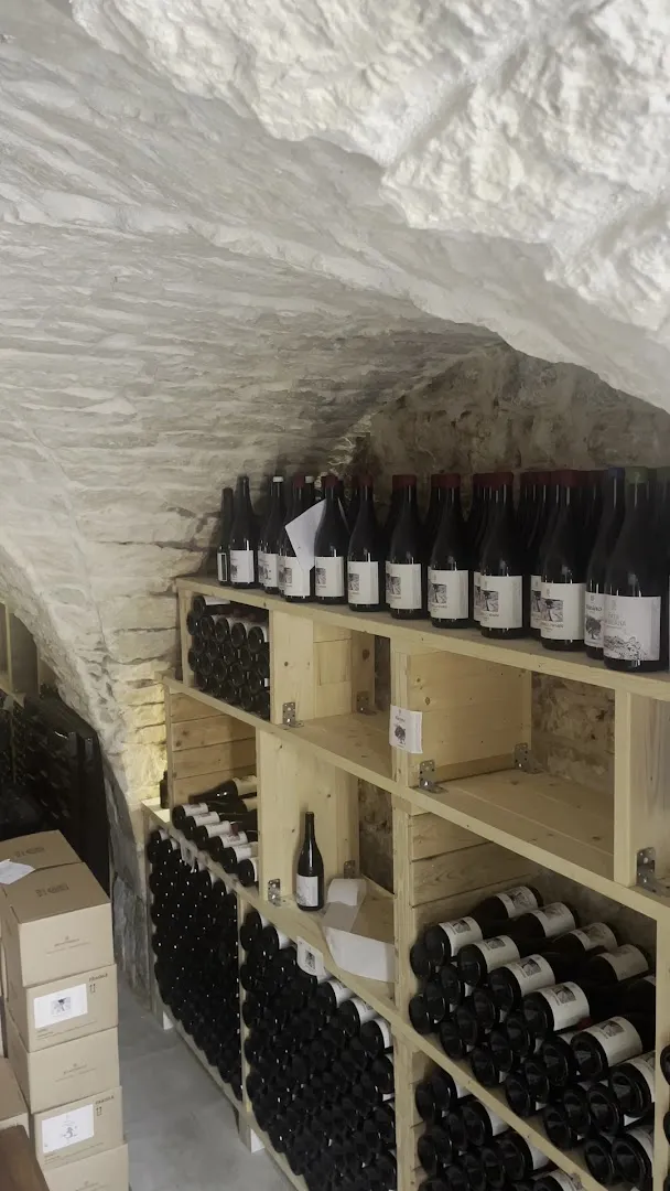 Cantina Elia foto 10