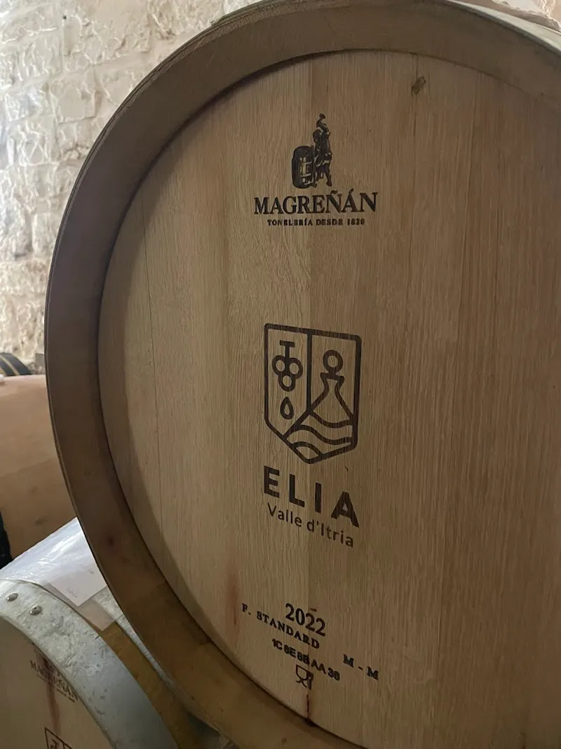 Cantina Elia foto 8