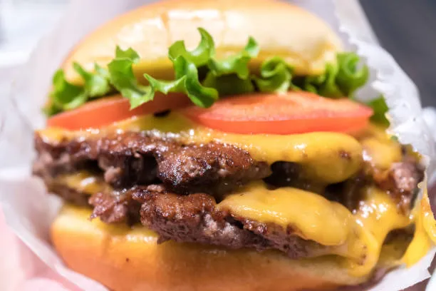 Shake Shack photo 7