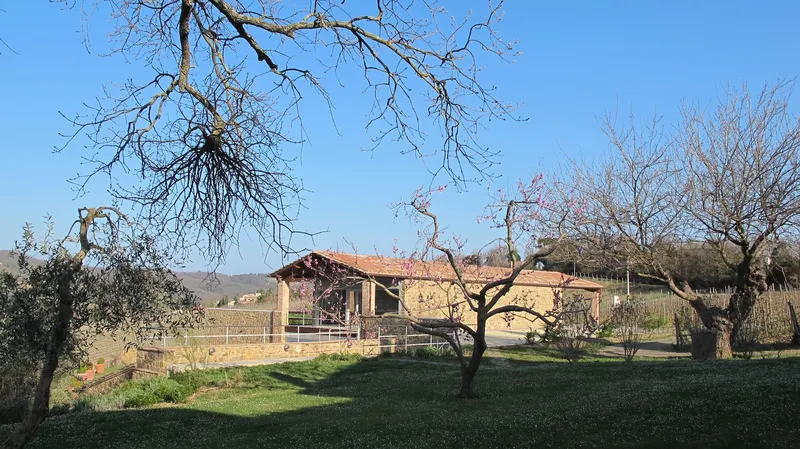 Brunelli foto 5