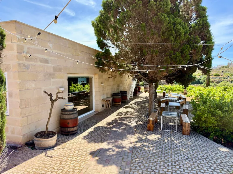 Marcus Divinus Winery photo 7