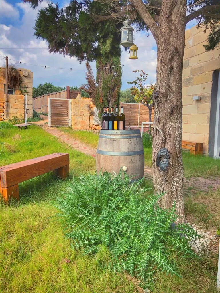 Marcus Divinus Winery photo 10