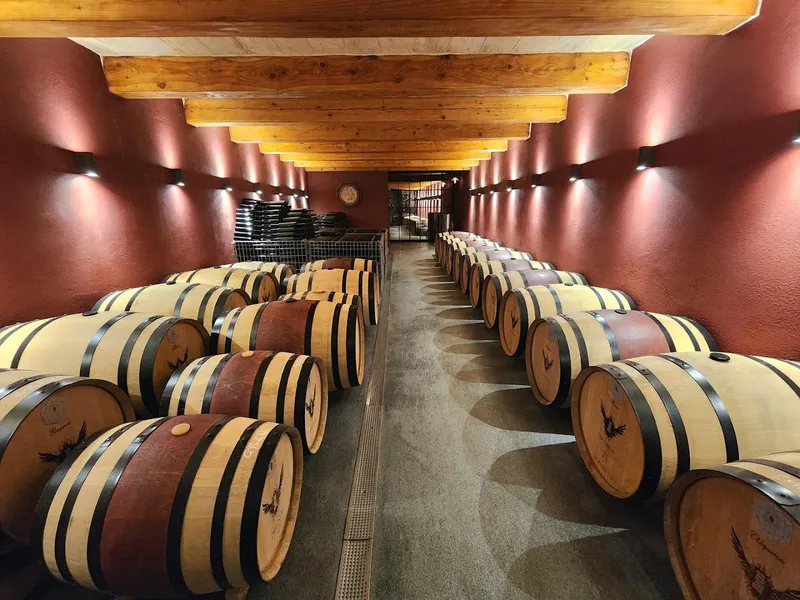 Marcus Divinus Winery photo 6