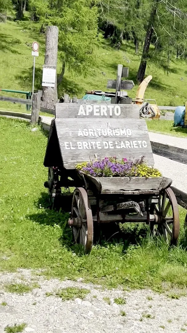 El Brite de Larieto photo 8