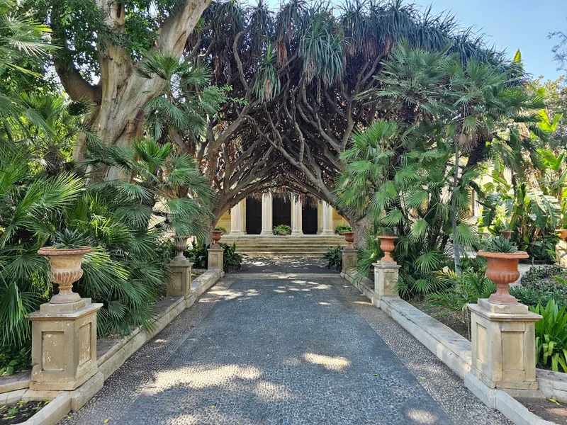 Botanica photo 5