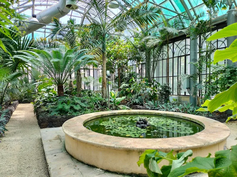 Botanica photo 9