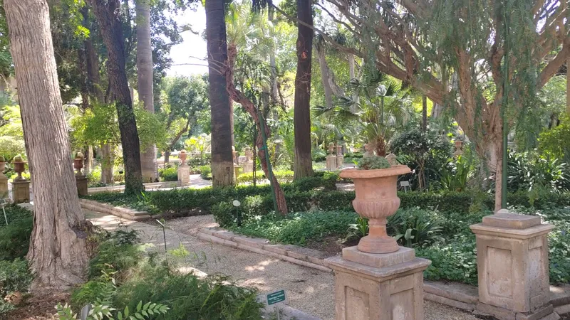 Botanica photo 8