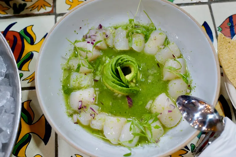 Holbox foto 10