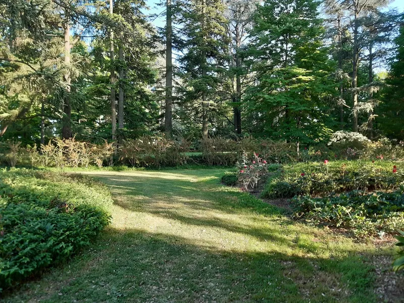 Villa Bambina photo 7