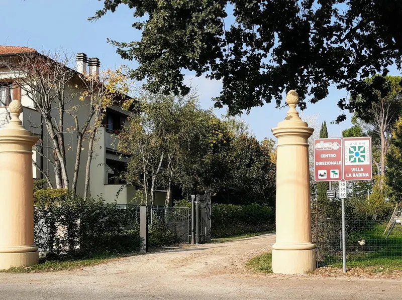 Villa Bambina photo 10