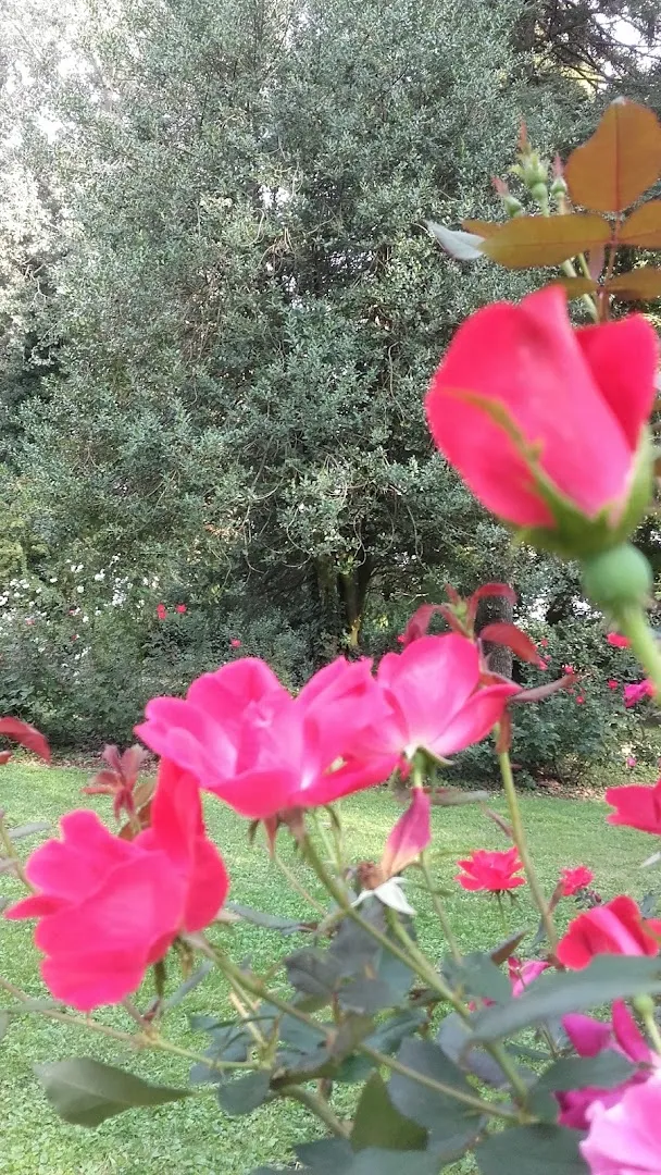 Villa Bambina photo 6