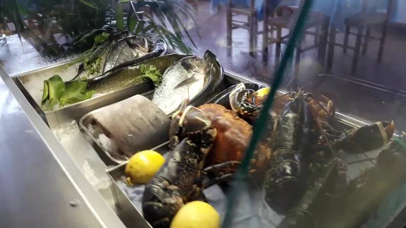 Trattoria Da Gaitano foto 8