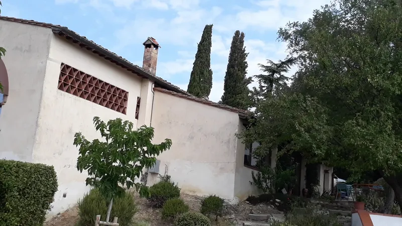 La Ginestra photo 8