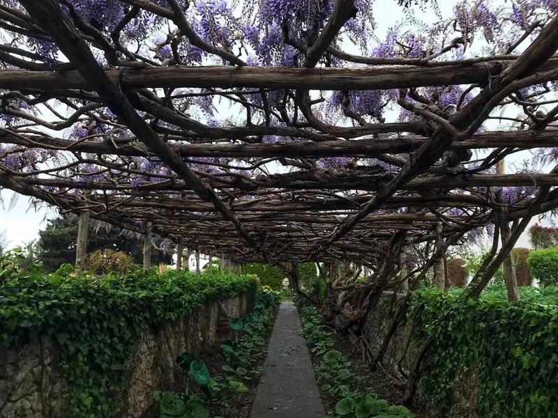 Sentiero delle Calanche foto 7