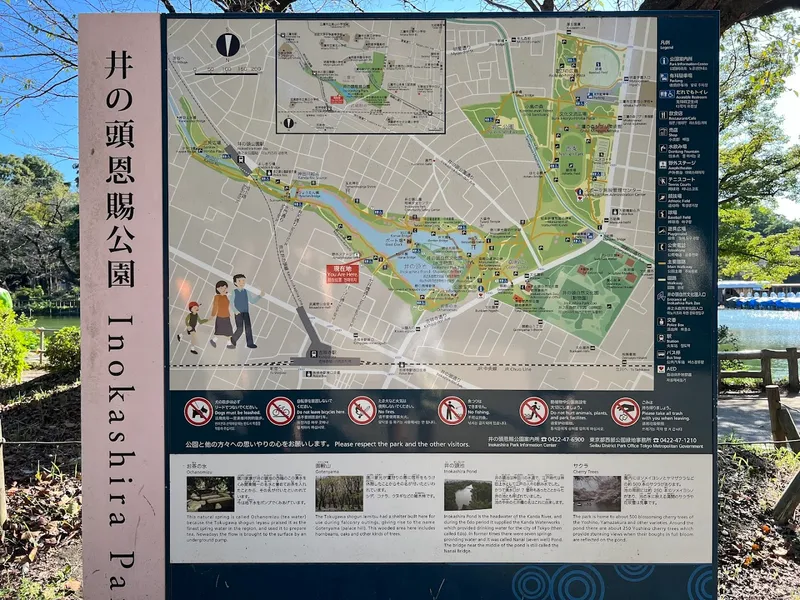 Kaikujira photo 10