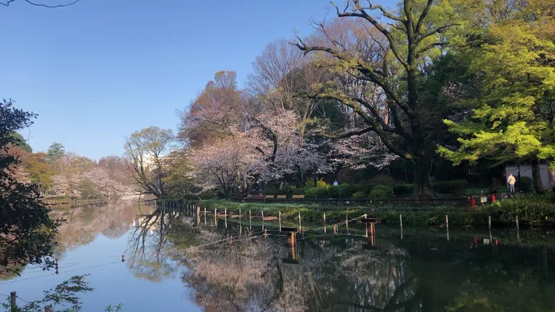 Kaikujira photo 8